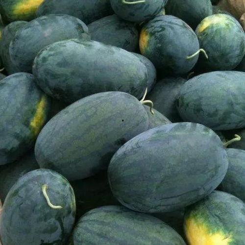 五一黑料吃瓜网入口