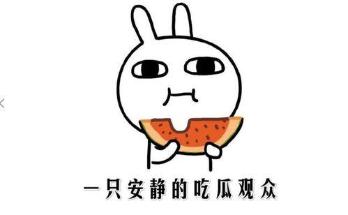 抖音网红事件吃瓜