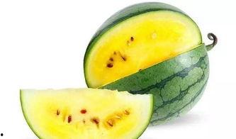 娱乐吃瓜酱国内最佳时间,揭秘国内最佳时间，解锁精彩瞬间！